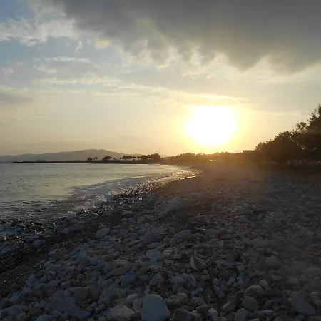 Lefkes